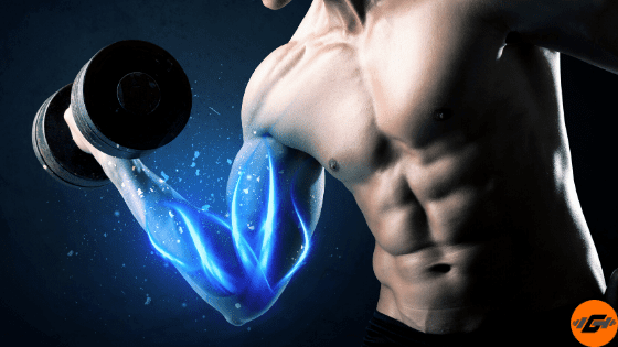عضلات زیبا و ۲۱ ترفند برای رسیدن به آن