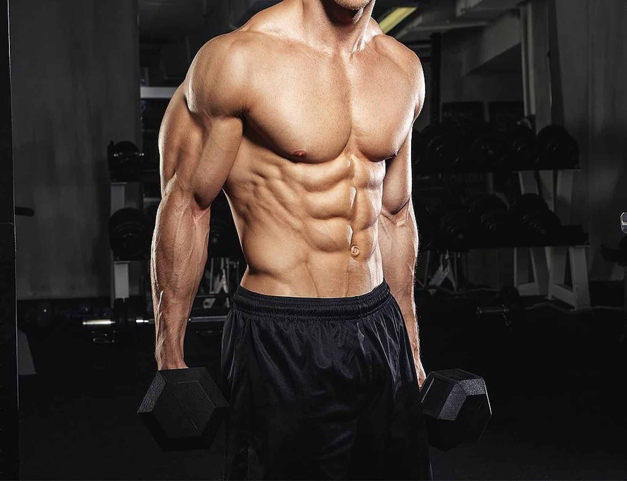 حرکات پایه بدنسازی کدامند!؟