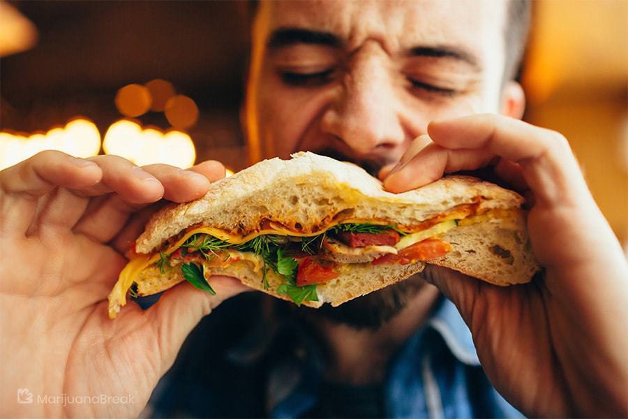 راهکارهای کاهش اشتها در دوران لاغری